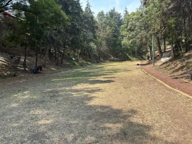 place photo 24