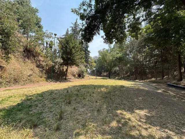 place photo 28