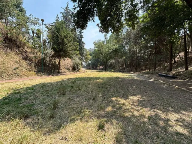 place photo 31