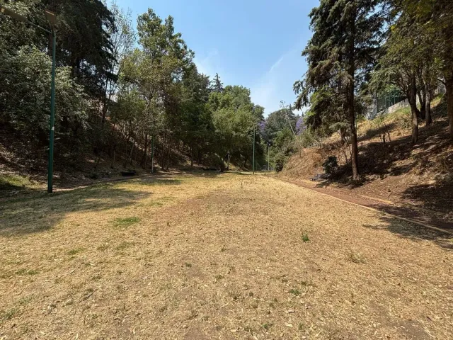 place photo 27