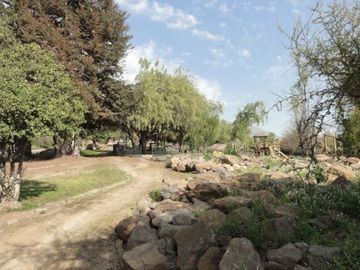place photo 41