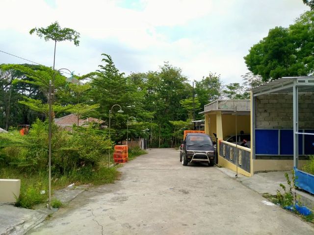 place photo 4