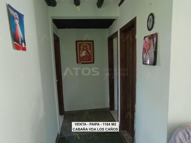 place photo 29