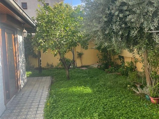 place photo 60