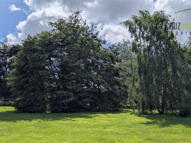 place photo 37