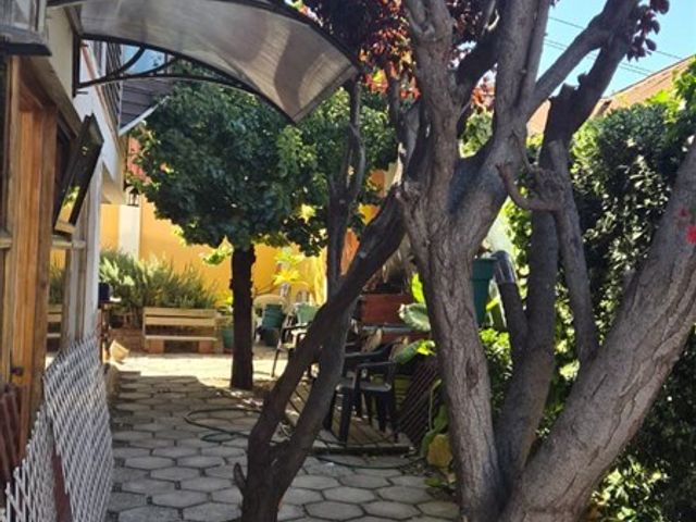 place photo 34