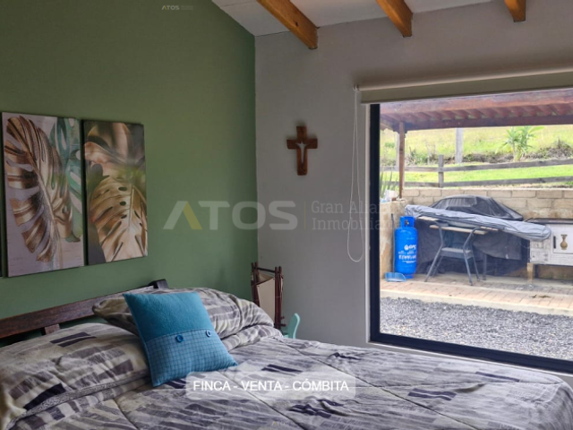 place photo 27
