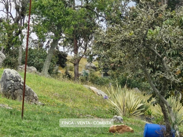 place photo 29