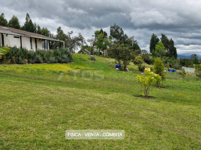 place photo 30