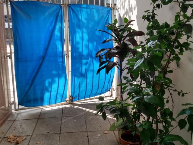 place photo 31