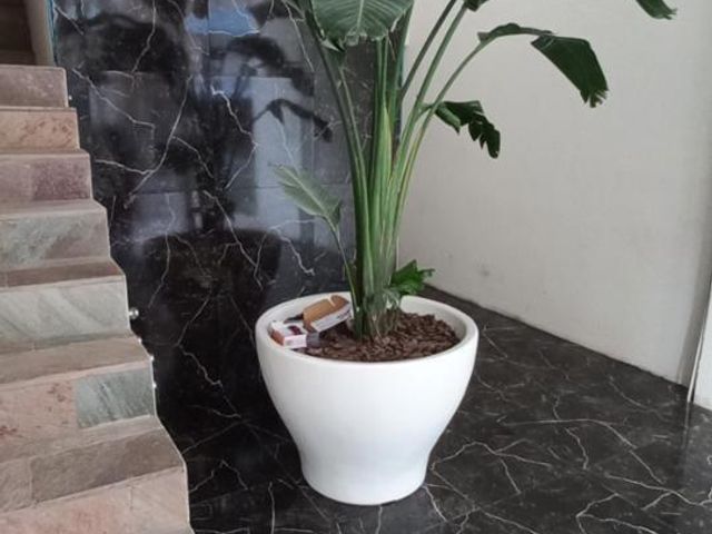 place photo 27