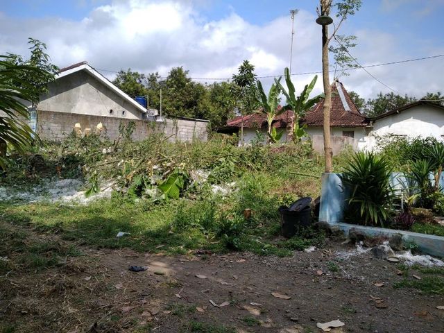 place photo 5