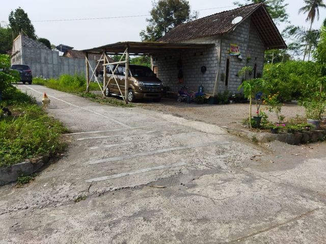 place photo 4
