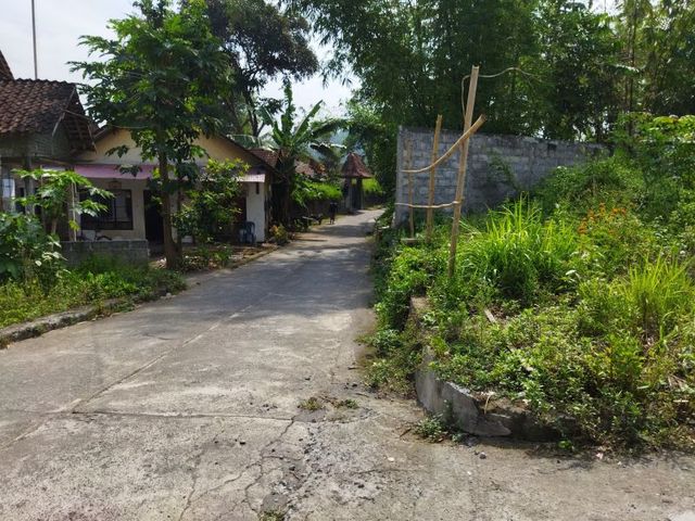 place photo 6