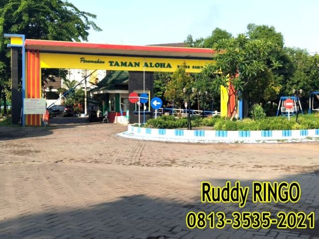 place photo 15