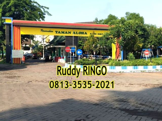 place photo 14