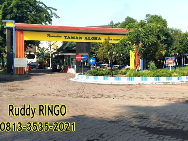 place photo 13