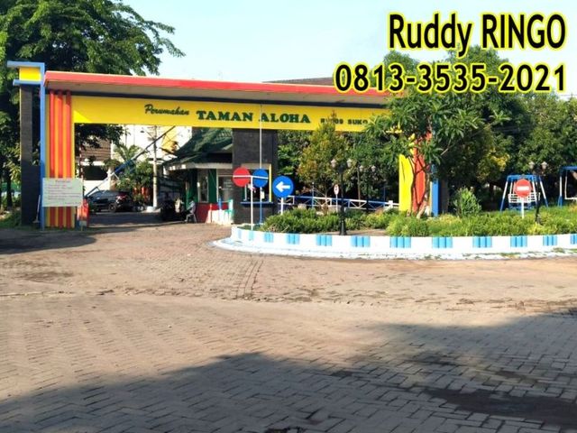 place photo 12