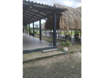 place photo 35