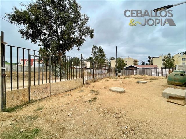 place photo 23