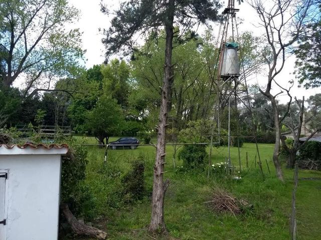 place photo 15
