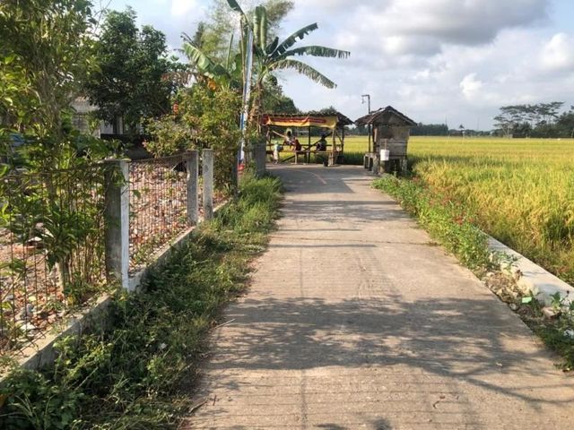 place photo 13