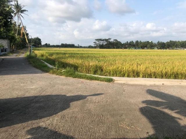 place photo 14
