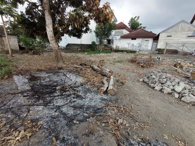 place photo 4