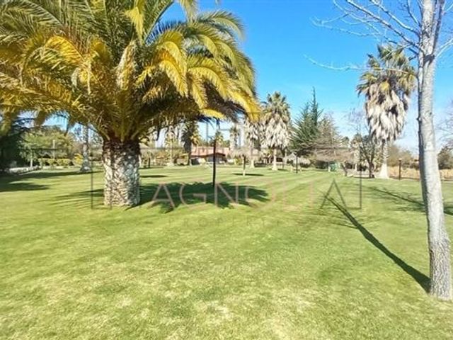 place photo 43