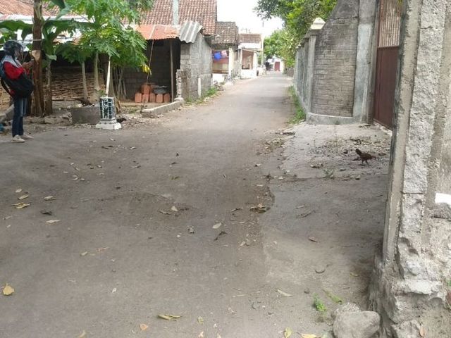 place photo 4