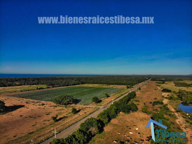 place photo 13