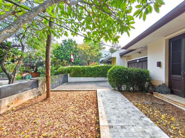 place photo 26