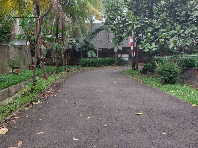 place photo 17