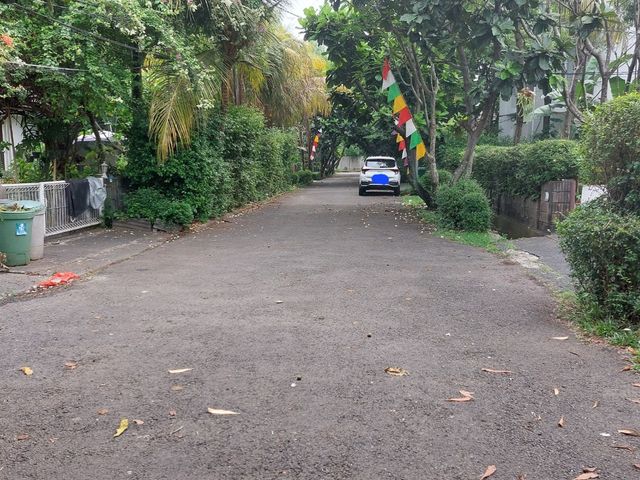 place photo 18