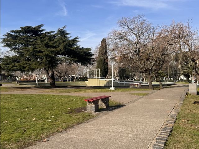 place photo 25