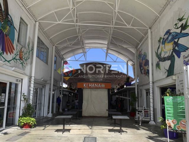 place photo 14