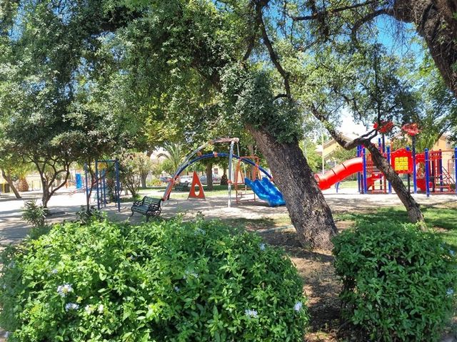 place photo 27