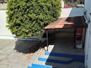 place photo 19