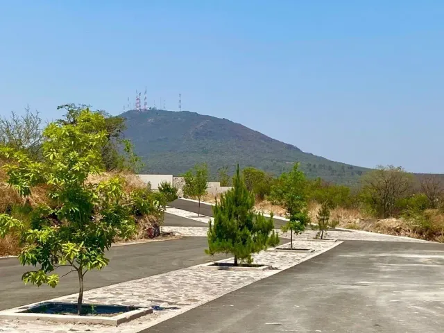 place photo 6