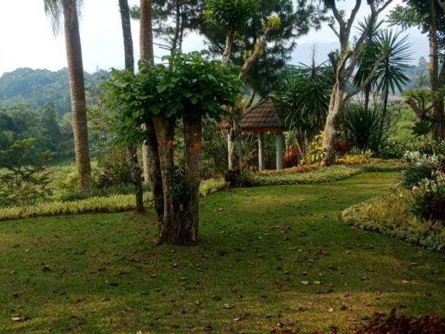 place photo 15