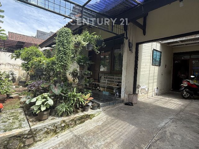 place photo 3