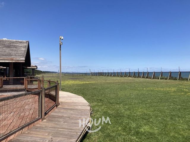place photo 67