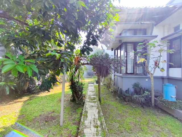 place photo 67