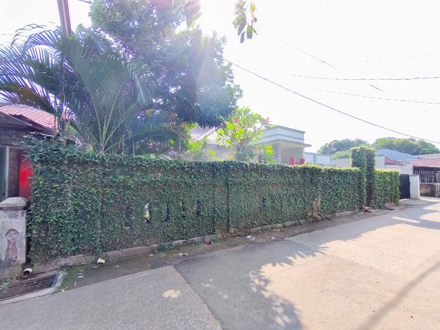 place photo 77