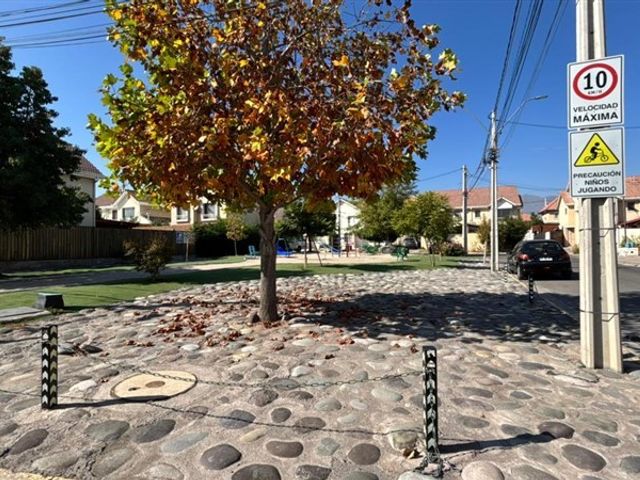 place photo 24
