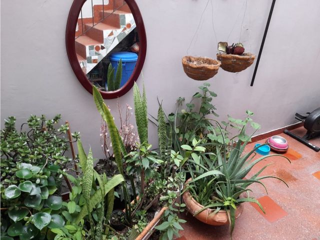 place photo 25
