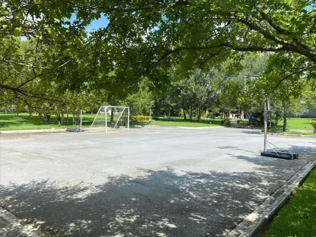 place photo 29