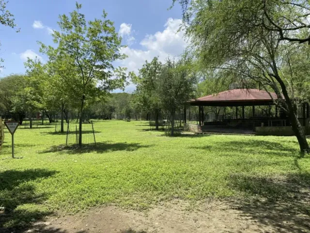 place photo 34