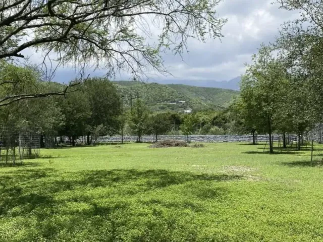 place photo 32