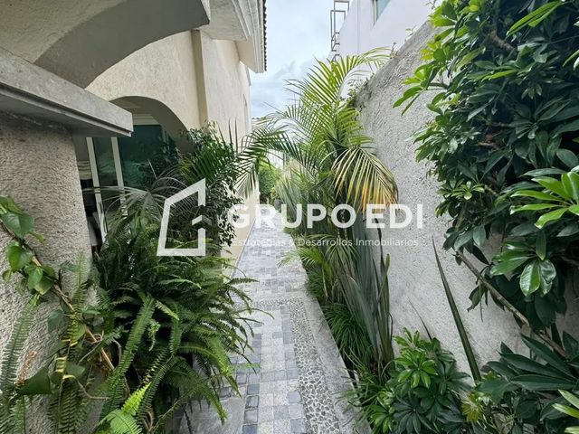 place photo 44